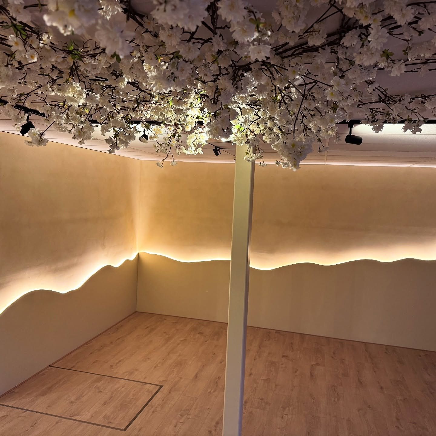 De zaal voor mat en yoga met golvende wandverlichting
